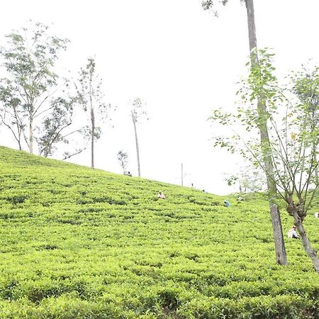 Ella Tea Land View 아파트 외부 사진