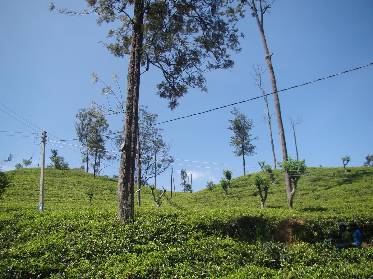 Ella Tea Land View 아파트 외부 사진