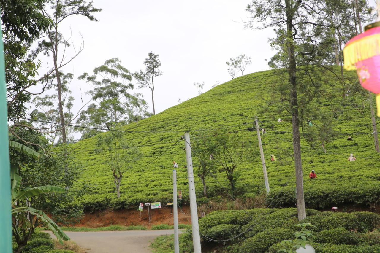 Ella Tea Land View 아파트 외부 사진