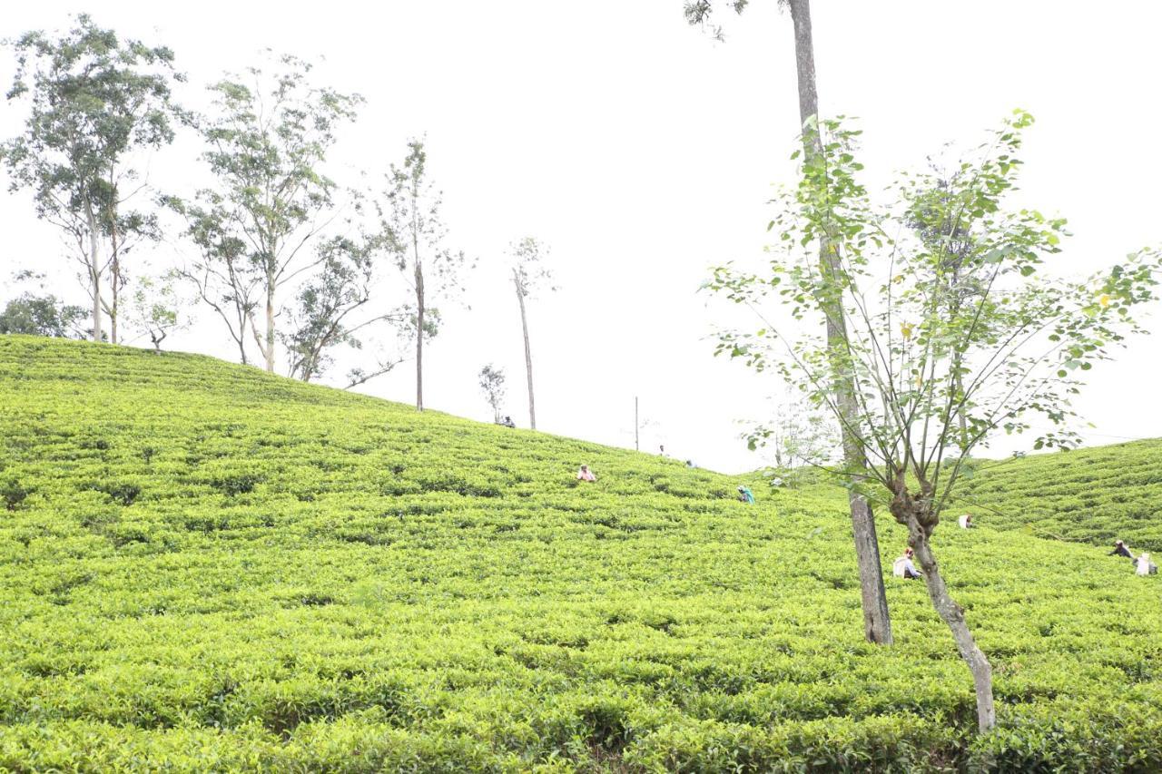 Ella Tea Land View 아파트 외부 사진